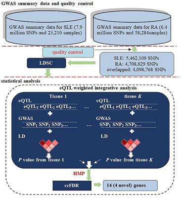 Detection of Genetic Overlap Between Rheumatoid Arthritis and Systemic Lupus Erythematosus Using GWAS Summary Statistics